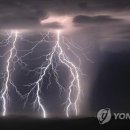 벼락 이미지