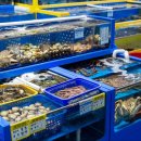 대천항 수산시장 사거리 이미지