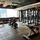 엠앤디 피트니스 이미지