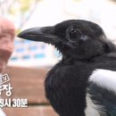 돌무덤농장 이미지