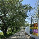나무다락방 민박 | 공주 펜션 가족과 즐거운 시간을 보내기 좋은 자유민박
