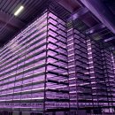 예스라농장 이미지