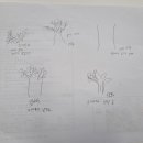 나무와중학교 이미지