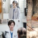 산책 - 안양시 만안구 | 산책
