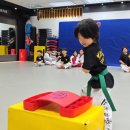 아주 소나무향기태권도 | 별내동태권도, 아이가 오래다니는 도장의 비밀
