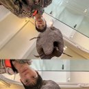 감탄떡볶이(석사) | 일교차와 산책과 알앤비