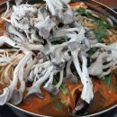 소문난연칼국수샤브