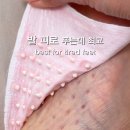 현대카클리닉 영등점 | 주말 오전에 이걸 다 한다고?