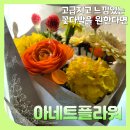 아네트플라워잠실