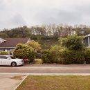 데이바이디 이미지