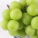 정호농장 이미지