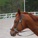 수색자동차공업사 이미지