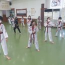 무궁화태권도장 이미지