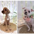 개중목욕탕 이미지