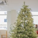 성진목장 | 부산 수플레 팬케이크 맛집 ㅣ 전포카페 어나더미네스 후기