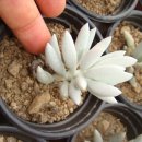 은월농장 이미지