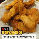 생생호프 무선점 | [화곡동치킨맛집] 매일술이야 | 겉바속촉 인생 후라이드치킨과 친절함에 반한 곳