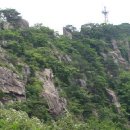 곡성-131 Daum카페