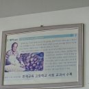 달인꿀빵 | [통영]<오미사꿀빵>통영에 올 때마다 몇박스씩 사서 돌아오는 통영의 특산품 오미사꿀빵! 솔직후기.