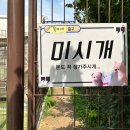 옥자네애견카페 유치원 호텔 미용 이미지