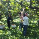 버들농장 이미지