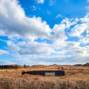 폐철로 | 제주동쪽가볼만한곳 용눈이오름옆 제주레일바이크 아이와 함께한 후기
