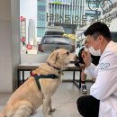 범어동물병원 이미지