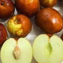 사과대추 효능 부작용 제철 사과대추 칼로리 이미지