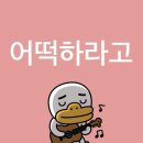 (주)드림히어로즈 | 엑디즈콘서트(5/5,7/6)