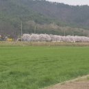 손불초등학교 병설유치원 이미지