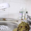 망고펫살롱 이미지