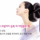 후후박스