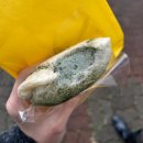 아라제과 | [제주 제주시] 제주 빵지순례 필수코스 진진제과 내돈내산 방문 후기