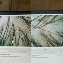 하라힐즈하가점 이미지