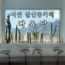 다육당 | 이천 식물카페 다육당 솔직 후기