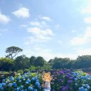 온평보건진료소 이미지