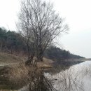 비상낚시터 이미지