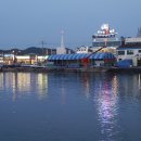 충남야채 이미지