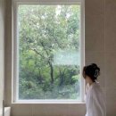 스테이캄드 이미지