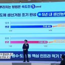 빼돌린레이스