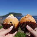 제주호랭이성산점 | 성산 디저트 맛집 - 순수 제주 브랜드 도넛 제주호랭이 성산점 찐 후기!