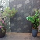 바우가든 이미지