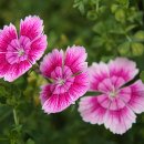 수목원 입구 이미지