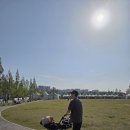 촌빨떡볶이 - 의성군 안계길 174-1 | 고양 국제 꽃 박람회 솔직 후기, 일산 호수공원 주차 꿀팁