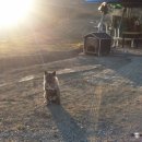 초두농장 이미지