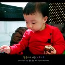 착한이유식 이미지