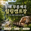 무릉계곡 힐링캠프장 | 강원도 동해 가볼만한곳 무릉계곡 힐링캠프장 | 아이와 머물기 좋았던 숲속 캠핑