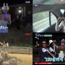 심경목장 이미지