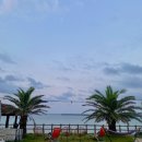 제주 자고가 이미지