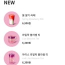 샌드블라썸 이미지